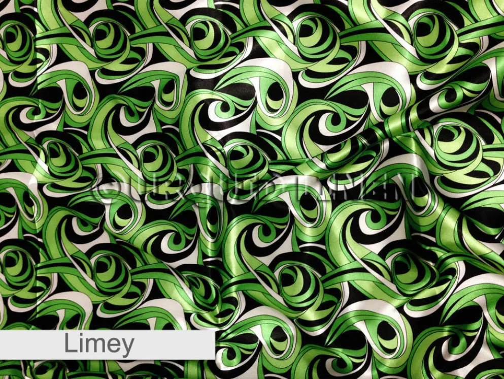 Abstract (Pucci)