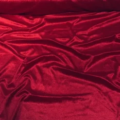 Lush Velvet Drapery Panel in Wine