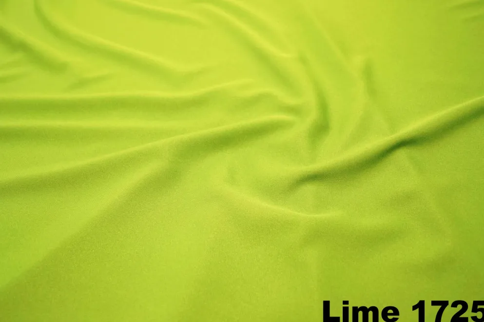 Shirred Pleat Stage Skirt