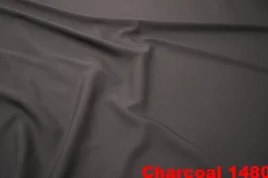 Shirred Pleat Stage Skirt