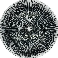 Solaris - Glass Charger Plate in Black (Item # 0426)